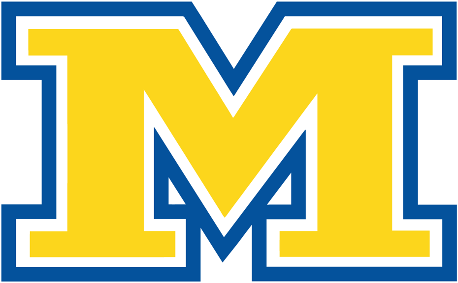 McNeese State Cowboys 2003-2010 Alternate Logo iron on transfers for clothing